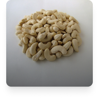 Cashew image